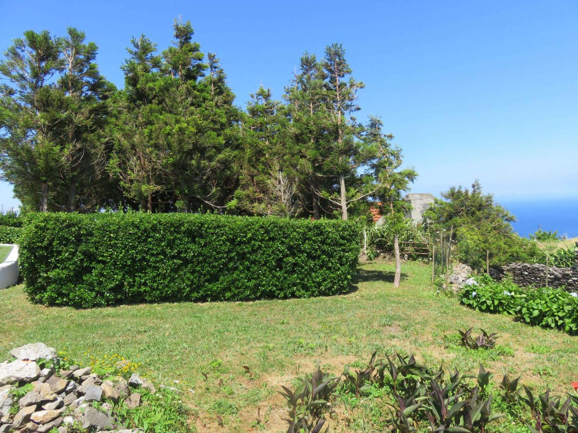 Villa Cedros Санта-Круш-даш-Флориш Экстерьер фото